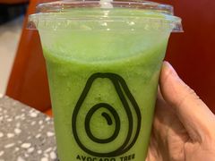 -油梨树AVOCADO TREE(嘉里中心店)