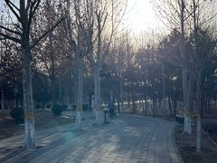 -东升八家郊野公园
