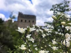 -石家庄市植物园