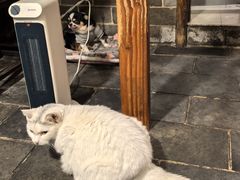 -张记牛肉面馆(天津路店)