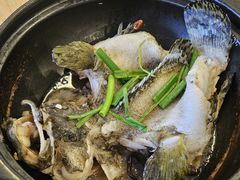 酵素蒸石斑鱼-ZF Seafood Restaurant 卓峰海鲜餐