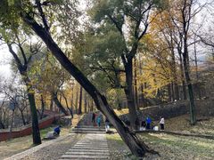 -阳台山自然风景区