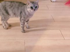 -平行世界·猫咖(首经贸店)
