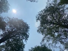-渌洋湖湿地公园