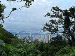 -太平山顶