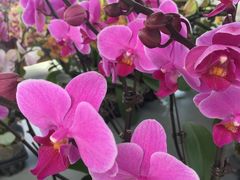 -南通洲际绿博园