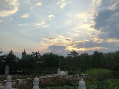-西海子公园