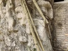 -北海市海滨公园