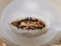 -海丝金凤(金鱼店)