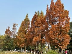 -白鹭湾湿地公园