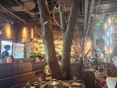 -同仁四季椰子鸡(宝安壹方城店)