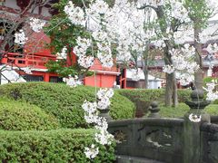 -浅草寺