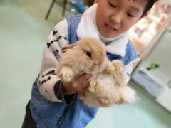 -藦茜花园宠物主题亲子互动体验馆(国顺东路店)