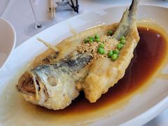 -大中华希尔顿酒店·兰亭潮中餐厅·粤菜