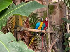 -杭州开元森泊度假乐园