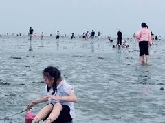 -南汇嘴观海公园