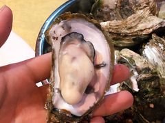 -齿留香湛江生蚝(白沙大道西店)