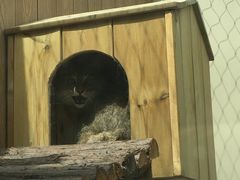 -青藏高原野生动物园