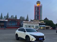 -华西村