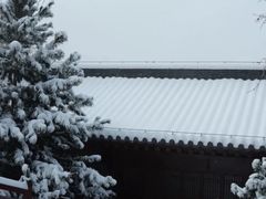-少华山国家森林公园
