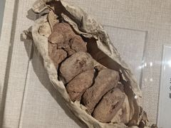 -巴音郭楞蒙古自治州博物馆