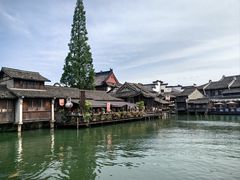 -乌镇西栅景区