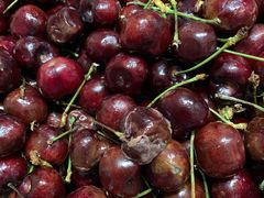 -江杨农产品批发市场