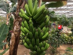 -兰陵国家农业公园