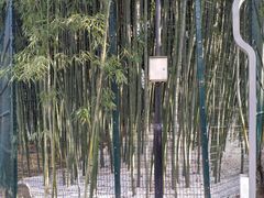 -西安市长乐公园