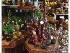 -奥兰多迪士尼动物王国乐园