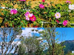 -丽江泸沽湖景区