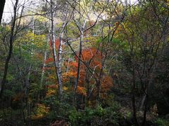 -玉渡山自然风景区