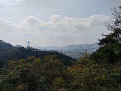-南丹山森林王国