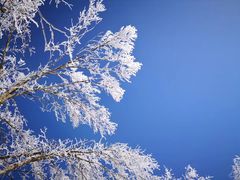 -终南山国家森林公园