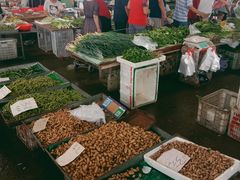 -重振华中蔬菜批发市场(重庆中路店)