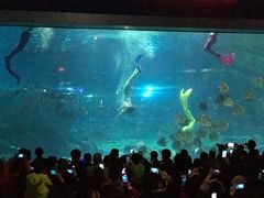 -福州罗源湾海洋世界旅游区