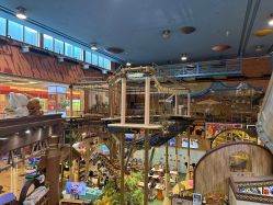 -卡通尼·Safari非洲探索乐园·生日会(金桥国际商业广场店)