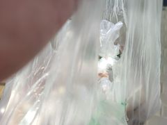 -洪记白水羊头(天坛店)