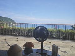 -日落吧·海景咖啡厅·餐酒吧·鸡尾酒·下午茶·乐队表演·浪漫夕阳·三亚文华东方酒店