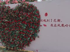 -北京凤凰岭