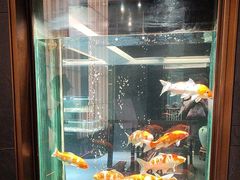 -浩运海鲜·16年专注青岛菜(石老人店)