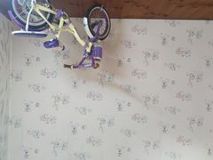 -金山农民画村-枫泾波兰倒置屋