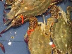 -山东八大碗山东老字号