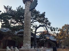 -北陵公园