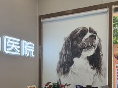 -瑞鹏宠物医院·微创内窥镜·骨外科·牙科(翠竹分院)