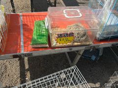 -中环花鸟鱼虫市场