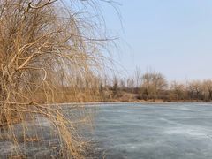 -丁香湖公园