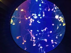 -成都浩海立方海洋公园