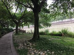 -成都市活水公园