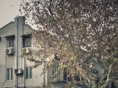-注春·荞麦奶茶(新天地旗舰店)